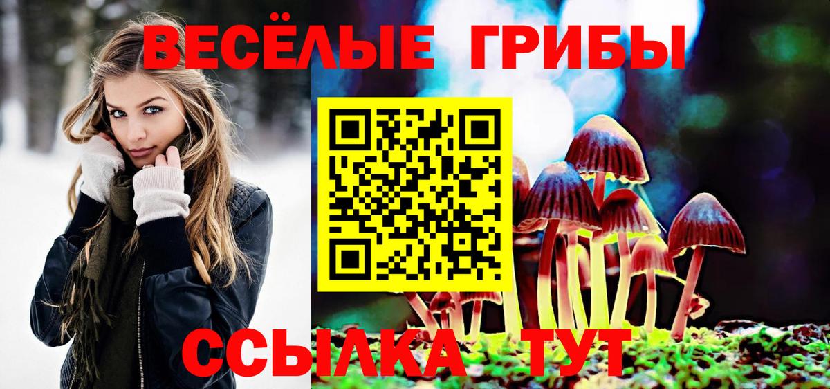 Сергиев Посад  Галлюциногенные грибы GOLDEN TEACHER  Вход с VPN 